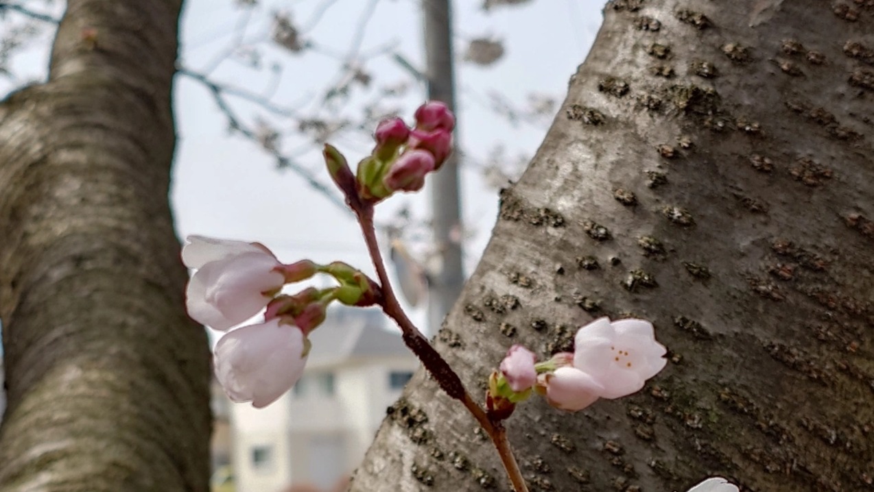 ミーティングの画像